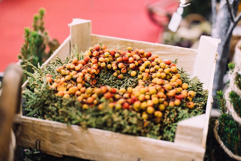 A wooden crate filled with orange and yellow berries arranged on a bed of evergreen clippings. Foraged holiday decor, natural crafting materials, botanical textures, sustainable ornamentation.