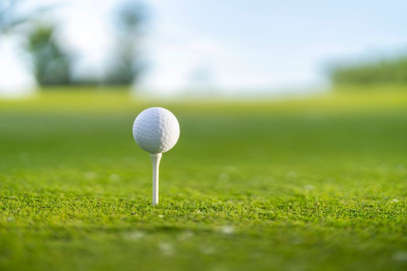 Golf ball balanced on a tee on a neatly manicured fairway, set for a drive. The lush green grass provides a vibrant backdrop, highlighting the anticipation of the upcoming swing.