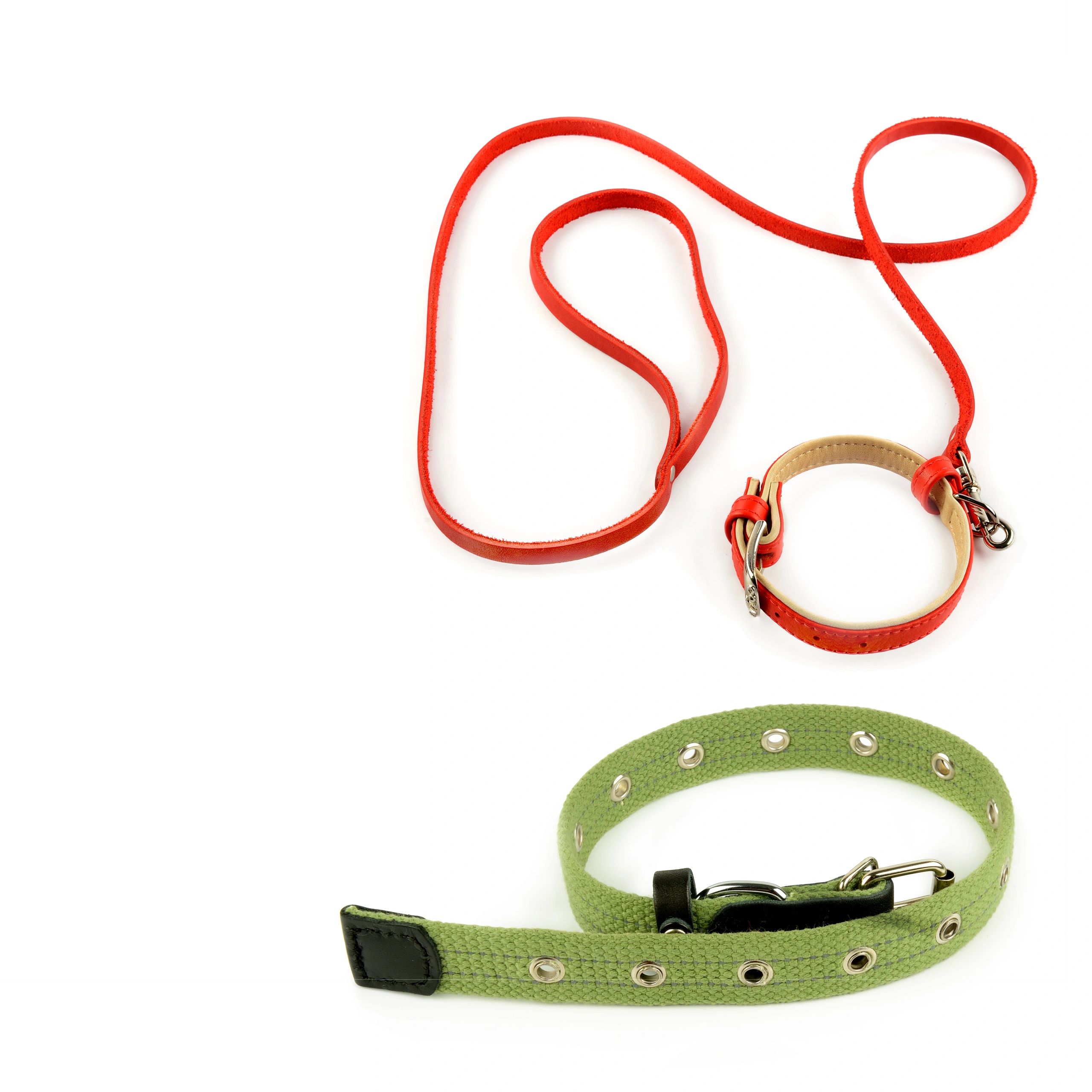 Red and green dog collars with a red leash.