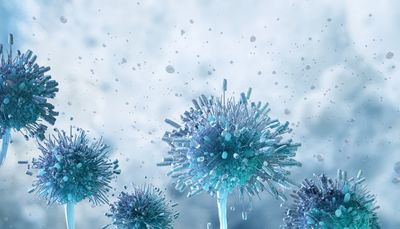 Close-up of blue virus particles.