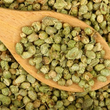 Dried hops in a wooden spoon.