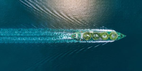 Aerial view of a ship carrying trees on water.
