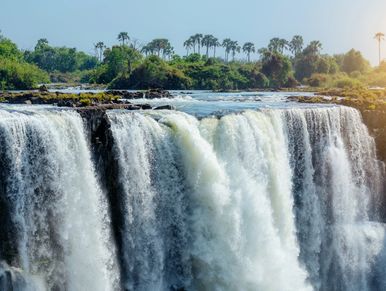Powerful waterfall with lush greenery around.