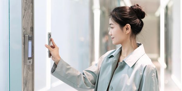 Networking in the Cloud