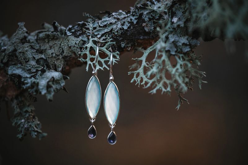 Earrings hanging on a plant display