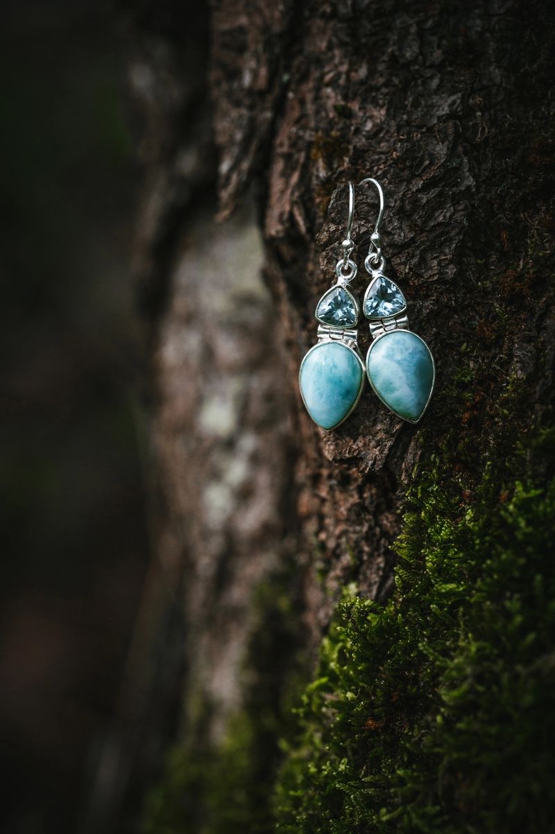 Earrings hanging on a plant display