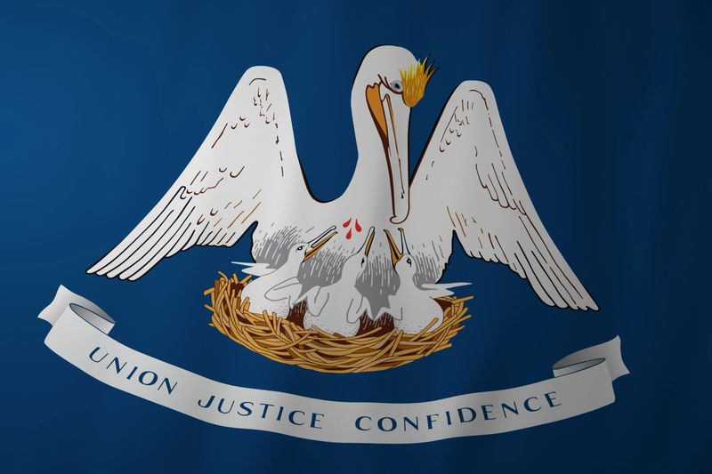 The official flag of the state of Louisiana featuring a blue background with a white pelican feeding its young on a nest, symbolizing sacrifice and care, along with the state motto on a ribbon below.