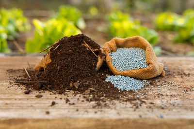 Bags of soil and fertilizer on a wooden surface with blurred greenery background.