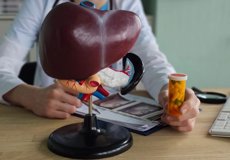 Doctor holds model of liver while discussing medication with patient in office setting during daylight
