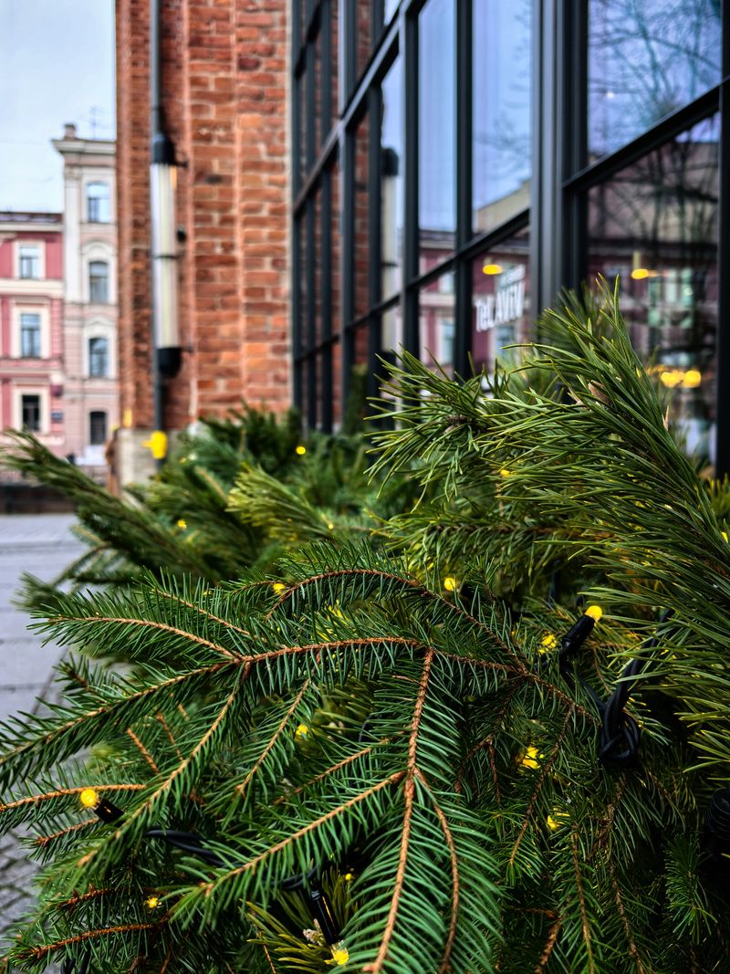 Pine branches adorned with warm lights are placed along the side of a brick building, creating a festive ambiance. Taken on a smartphone.
