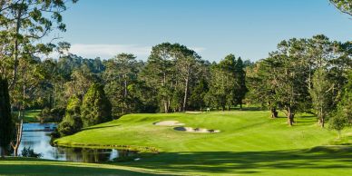 A lush golf course with trees and a water hazard under a clear sky.