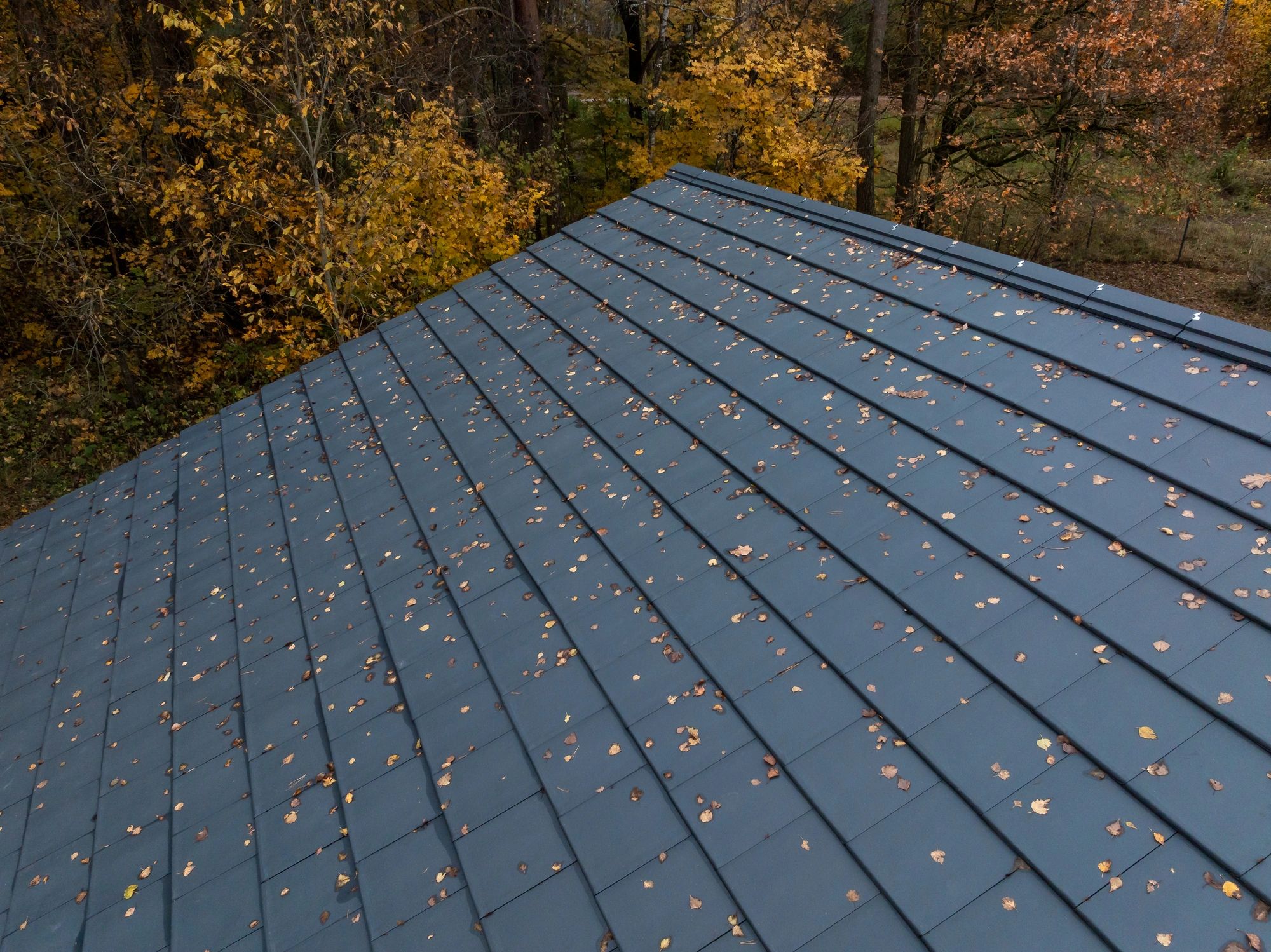 A blue metal roof with scattered autumn leaves.