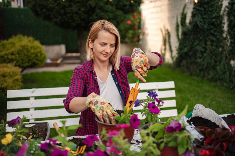 Young adult woman enjoying hobby, potting colorful flowers with gardening tools in her garden