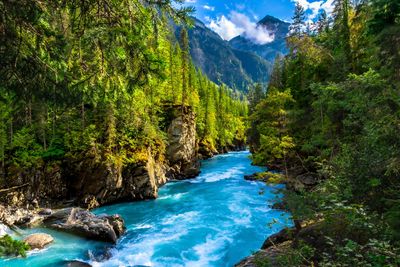 Clear blue river flowing through forested mountains.
