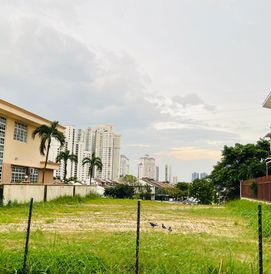 Open grassy field with birds and palm trees near buildings.
