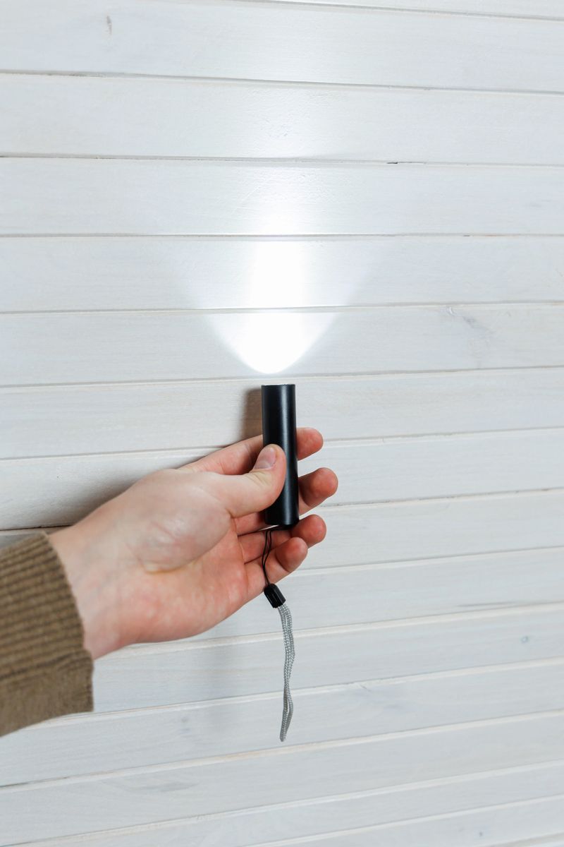 A person is currently holding a small black flashlight firmly in their hand, ready to use it for illuminating dark areas or exploring