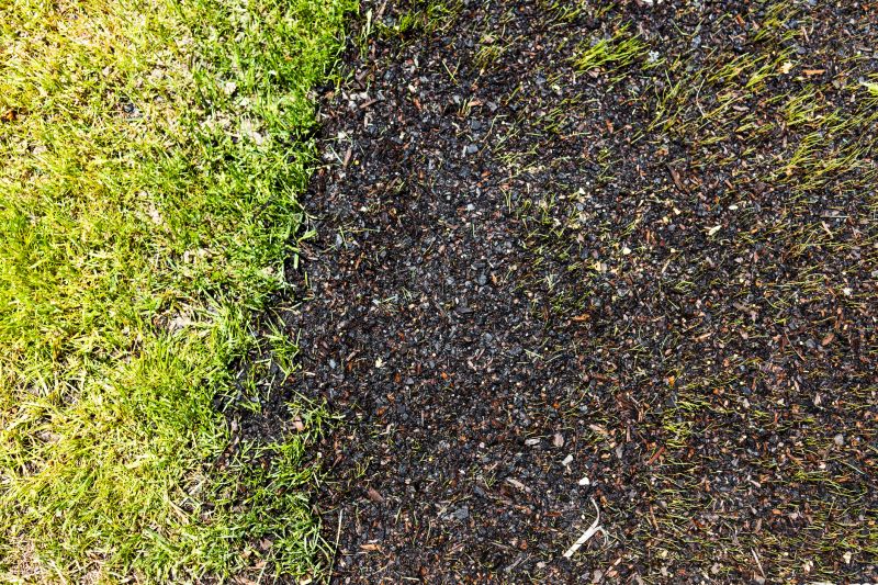 grass seeds on wet soil next to a patch of perfectly maintained green lawn, before and after lawn transformation, growth and garden care