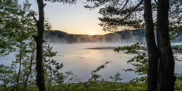 Mist rises over a lake at sunrise framed by trees.