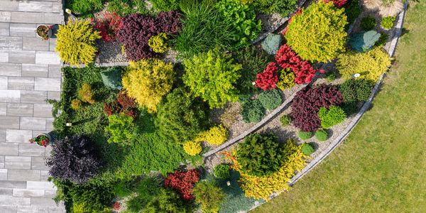 Vibrant garden with diverse colorful plants and trees from above.