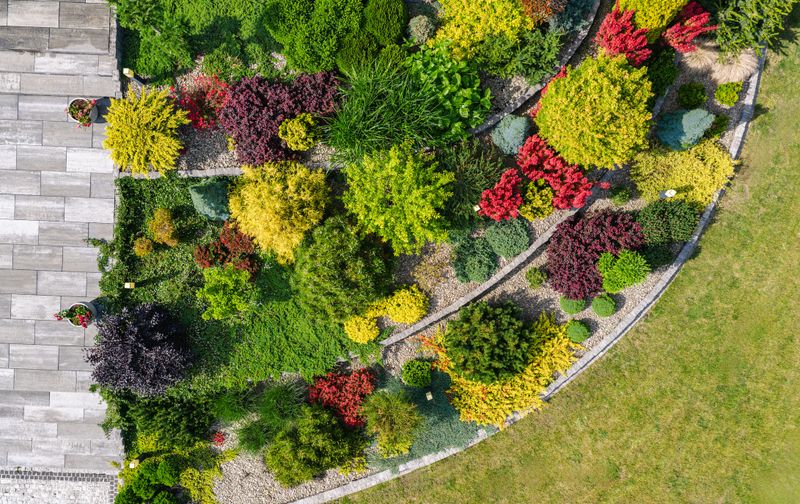 A garden features many plants in different colors and shapes arranged in a pattern.