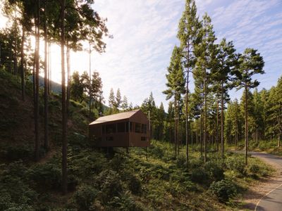 A wooden cabin nestled among tall pine trees in a forested area.