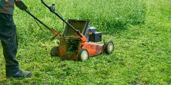Person mowing a lush green lawn with an orange lawnmower.