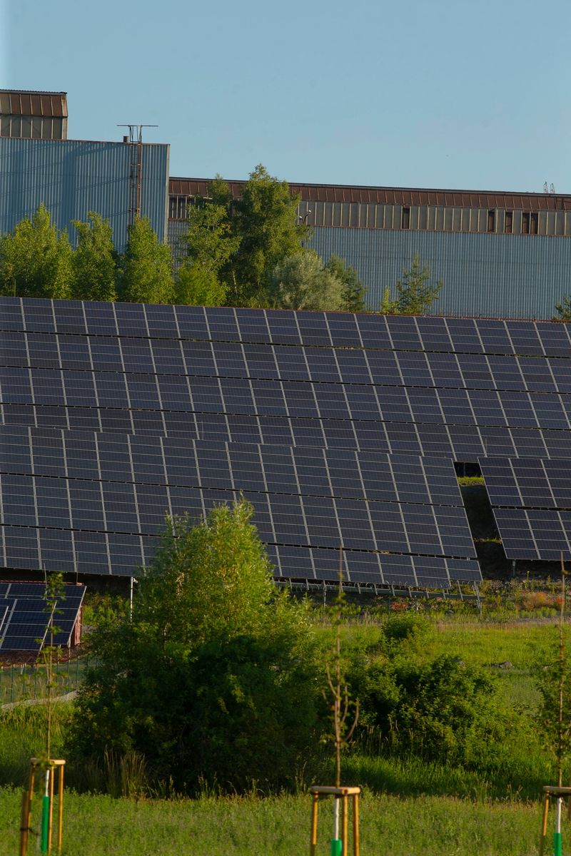 Expansive solar panels near industrial building under midday sun, inspection and maintenance tone with visible rails and access points, textured modules blending with grassland,