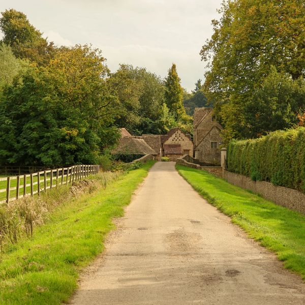 Pet-Friendly X Room  
Bring your furry friend and enjoy the Smokies together  
From $110 / night