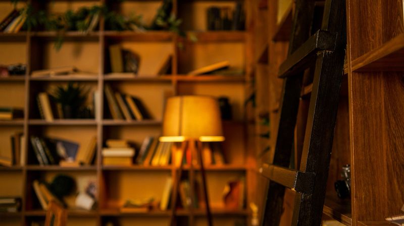 A dimly lit room filled with bookshelves, a floor lamp casting a warm glow, and a wooden ladder leaning against the shelves
