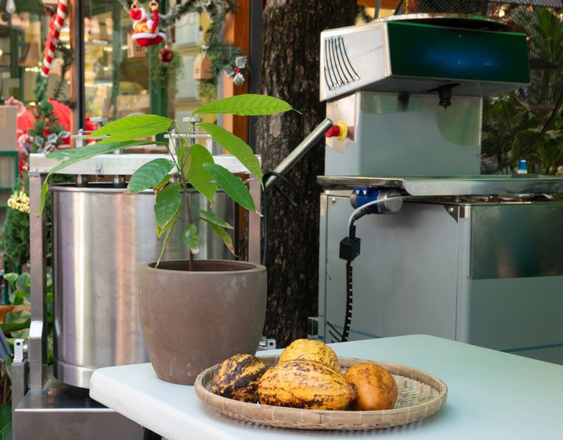 Chocolate Making Machine at Ho Chi Minh City, Vietnam
