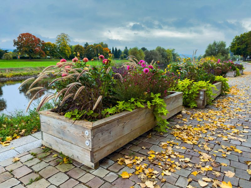 Vibrant flowers and lush greenery fill wooden planters along a riverside walkway. Yellow leaves scatter on the stone path under a cloudy autumn sky creating a serene scene.