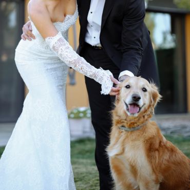 Bride and groom petting a happy golden retriever.