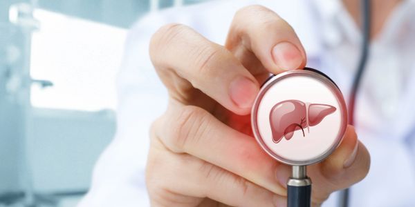 Doctor holding a stethoscope with a liver illustration, symbolizing liver health.