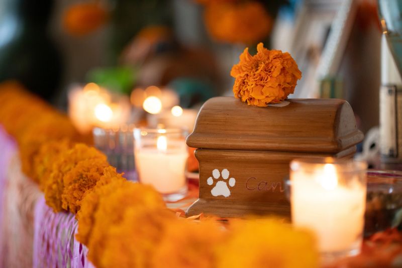 Day of the dead altar dedicated to a dog,  with candles, marigolds and a pet urn