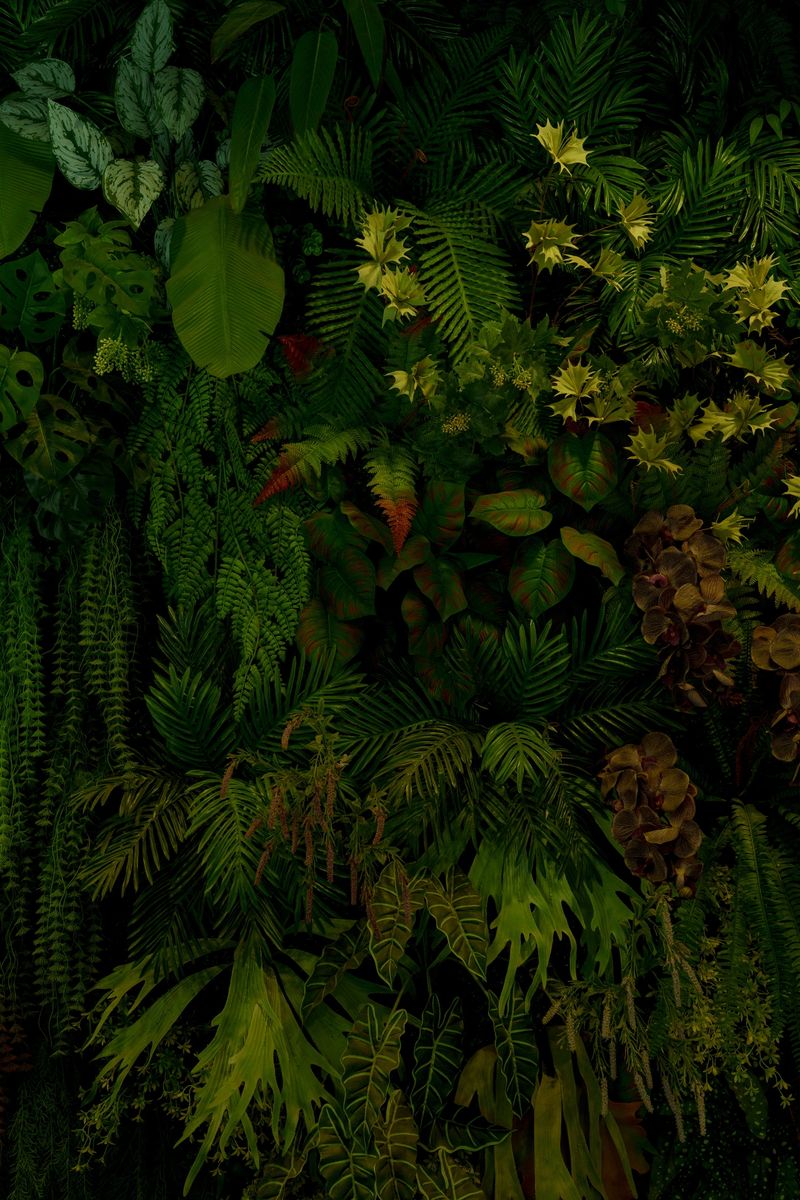 Group background of dark green tropical leaves ( monstera, palm, coconut leaf, fern, palm leaf,bananaleaf) Panorama background. concept of nature