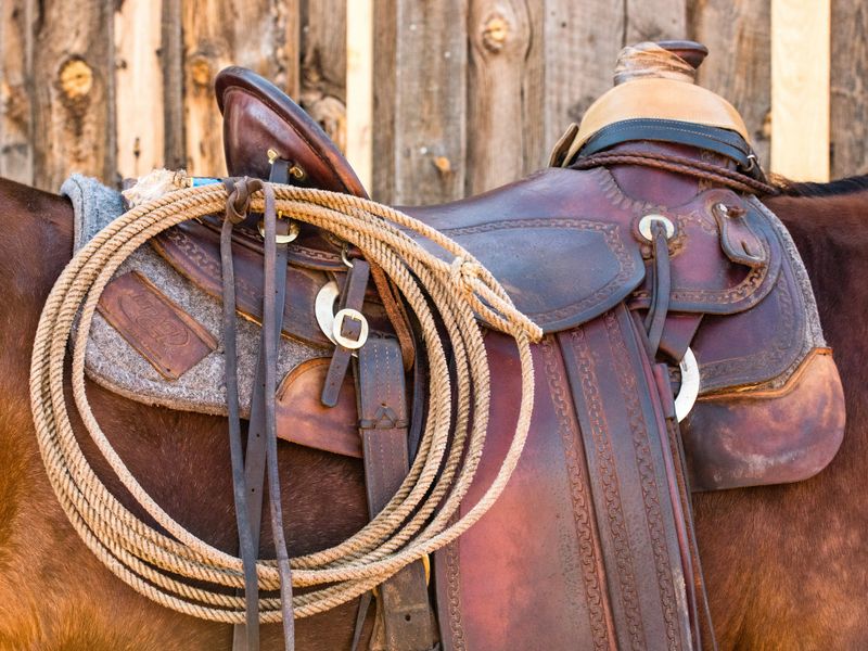 A detailed view of a Western saddle, crafted from rich brown leather, rests upon the back of a dark brown horse. A neatly coiled lasso lies across the saddle, ready for action. The textured backdrop of a weathered wooden fence complements the rugged, authentic feel of this image, perfect for capturing the essence of cowboy culture, rodeo, or ranching adventures.