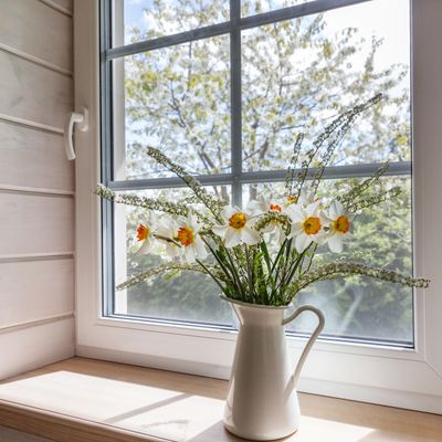 White pitcher holding daffodils on a sunlit windowsill.
