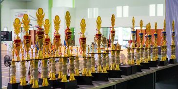 Rows of golden trophies lined up on tables.