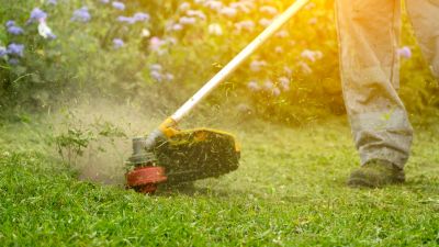 Person trimming grass with a string trimmer.