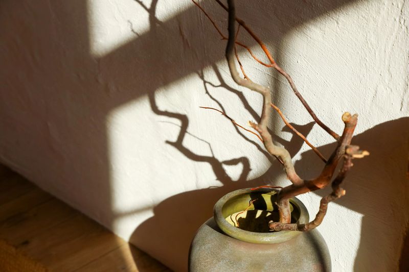 Branches are placed in a ceramic vase on a wooden surface. Sunlight creates shadows on the wall. The scene shows simple elements of nature and art during the afternoon hours.