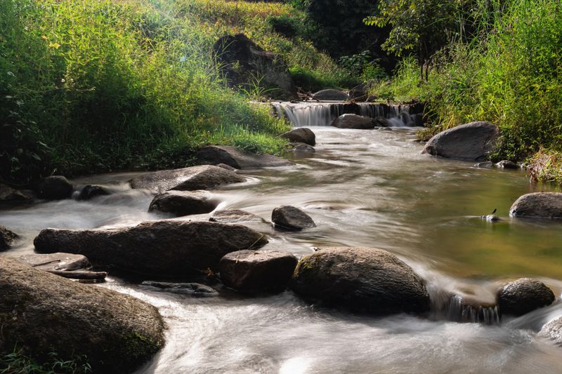 Serene Stream Flowing Through Lush Greenery with Smooth Rocks and Gentle Waterfall in Quiet Nature Scene