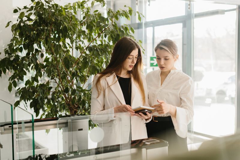 Two professional women collaborating, reviewing plans and exchanging ideas in a bright office environment surrounded by nature