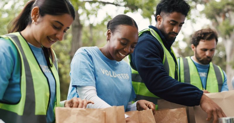 Outdoor, volunteers and group with donations, charity or happy for community service with food boxes. Humanitarian, people and team with supply distribution, NGO and social responsibility in woods