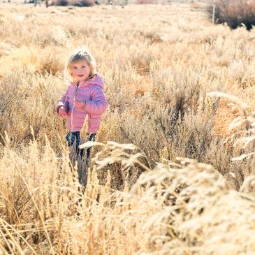 A young girl in a pink jacket stands in a sunny field of tall dry grass.