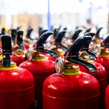 Row of red fire extinguishers.