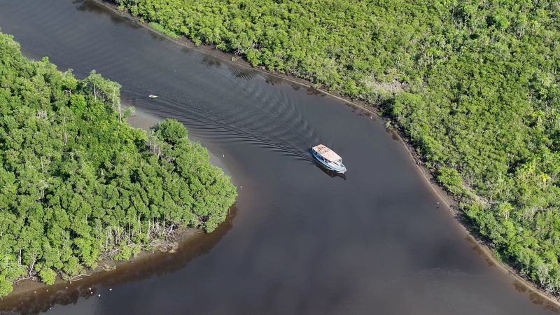 Fishing Boat At Itanhaem In Sao Paulo Brazil. Nature Riverside. Wetland Forest. Travel Destination. Fishing Boat At Itanhaem In Sao Paulo Brazil. Amazon Scenery.