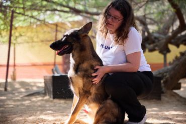 Woman kneeling beside a German Shepherd dog outdoors.
