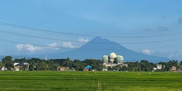Green fields with a mosque and mountain backdrop under a clear blue sky.