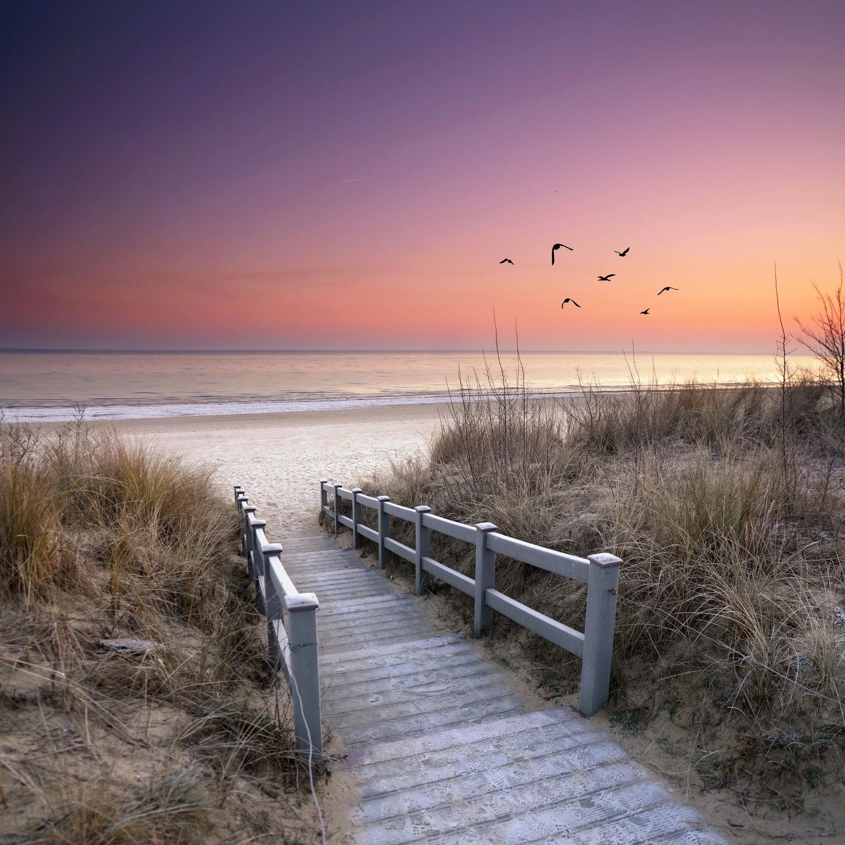 Wooden pathway leads to a calm beach at sunset with birds flying.