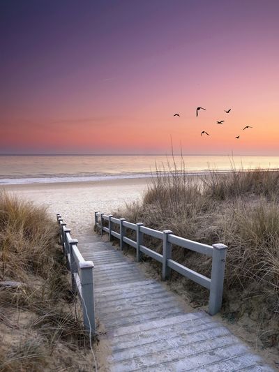 Wooden pathway leading to a serene beach at sunset with birds flying.